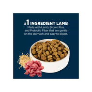 Authority Sensitive Stomach & Skin Adult Dog Dry Food product view