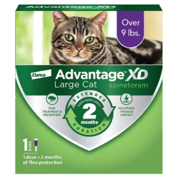 Advantage XD Over 9 lbs Large Cat Flea Prevention & Treatment