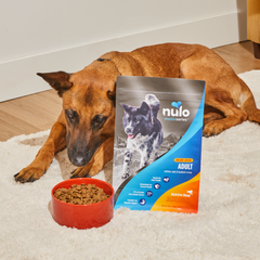 Nulo MedalSeries Adult Salmon Oats and Haddock lifestyle image